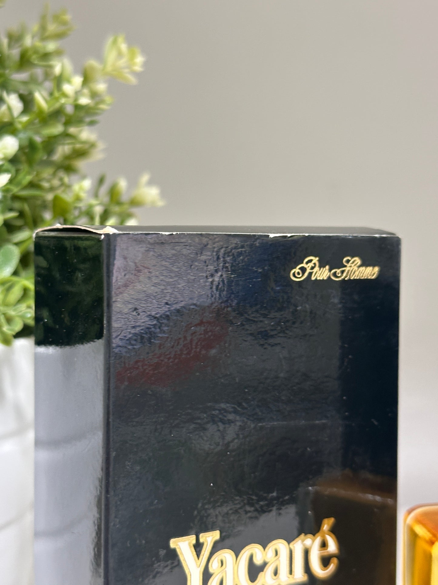 YACARE 2 COSMETICOS ASTOR EAU DE COLOGNE 100ML